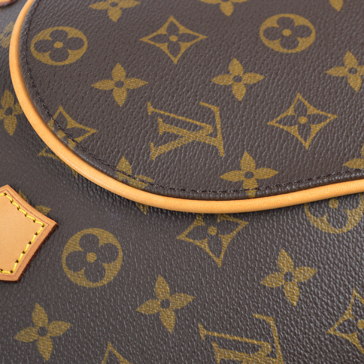 Louis Vuitton Ellipse PM Monogram