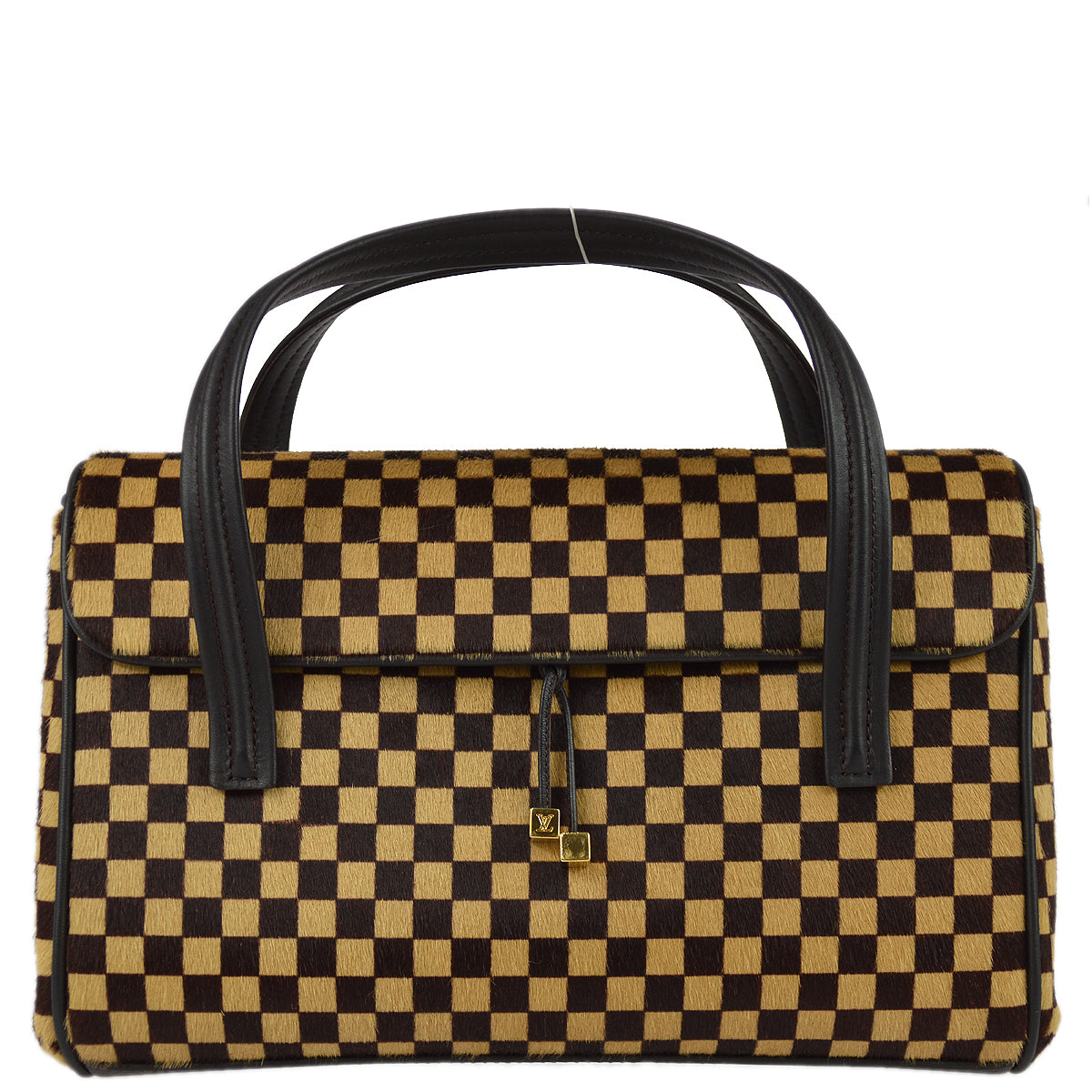 Louis Vuitton Damier Sauvage Lion
