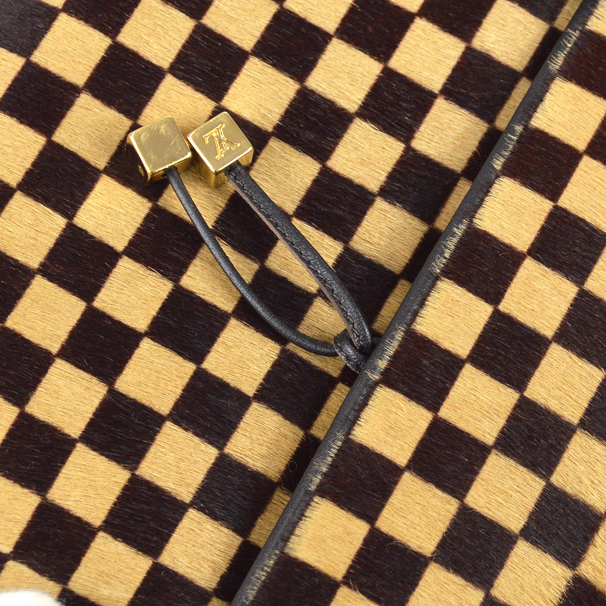 Louis Vuitton Damier Sauvage Lion