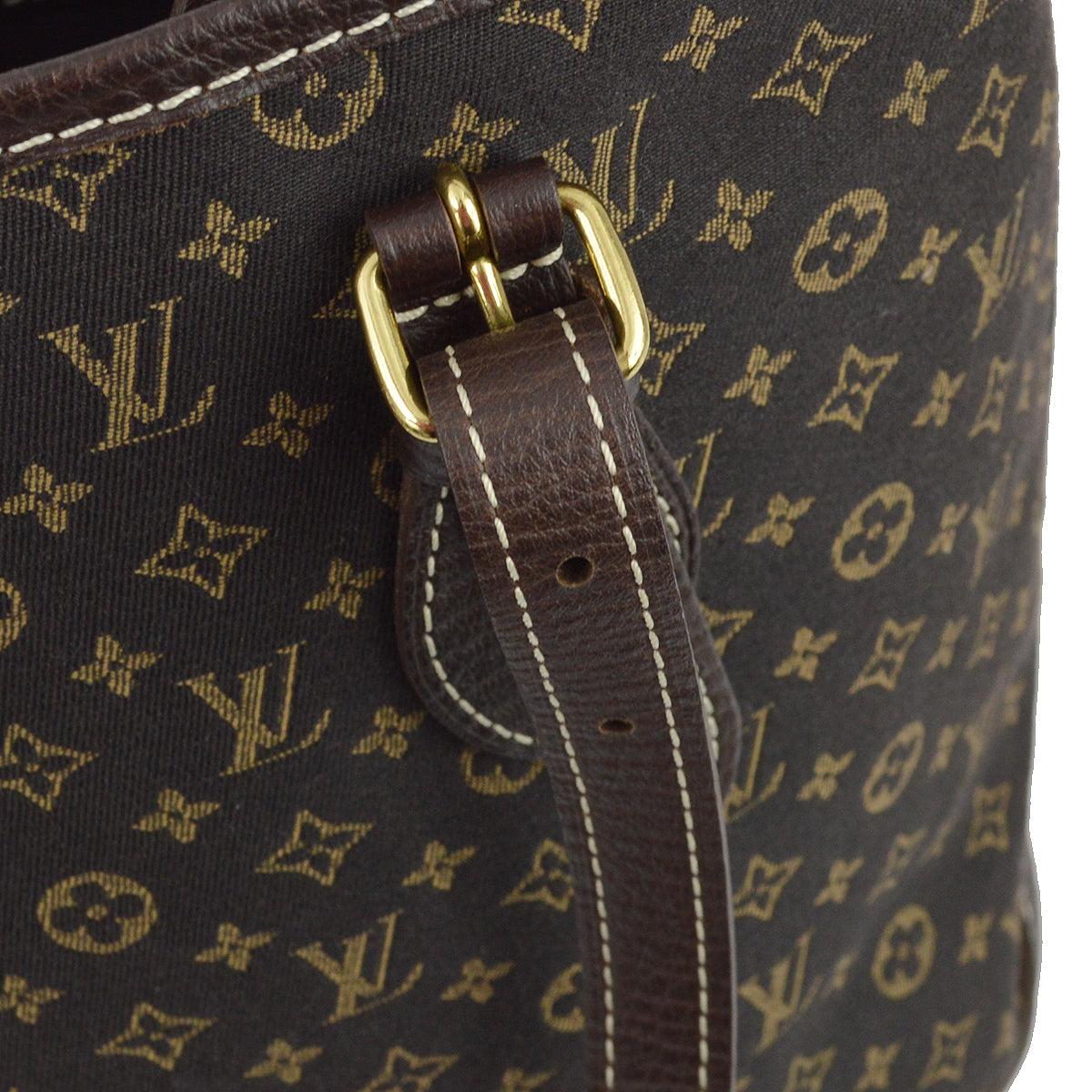 Louis Vuitton Brown Monogram Mini Lin Bucket PM Tote Bag in Brown