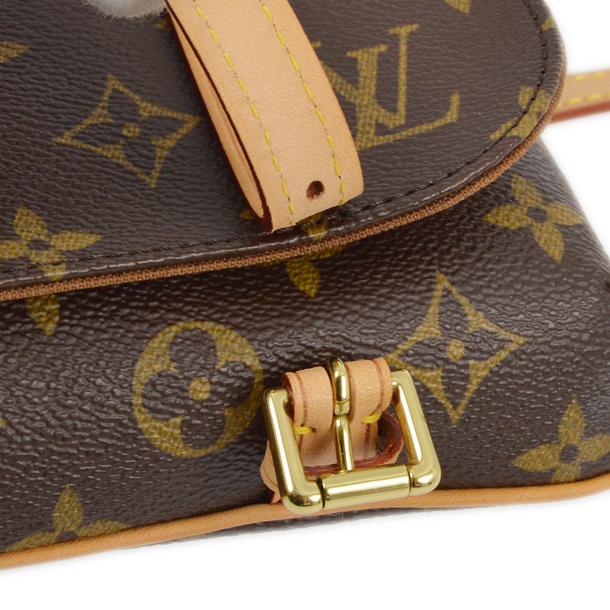 Louis Vuitton Monogram Pochette Marelle Belt Bum Bag in Brown
