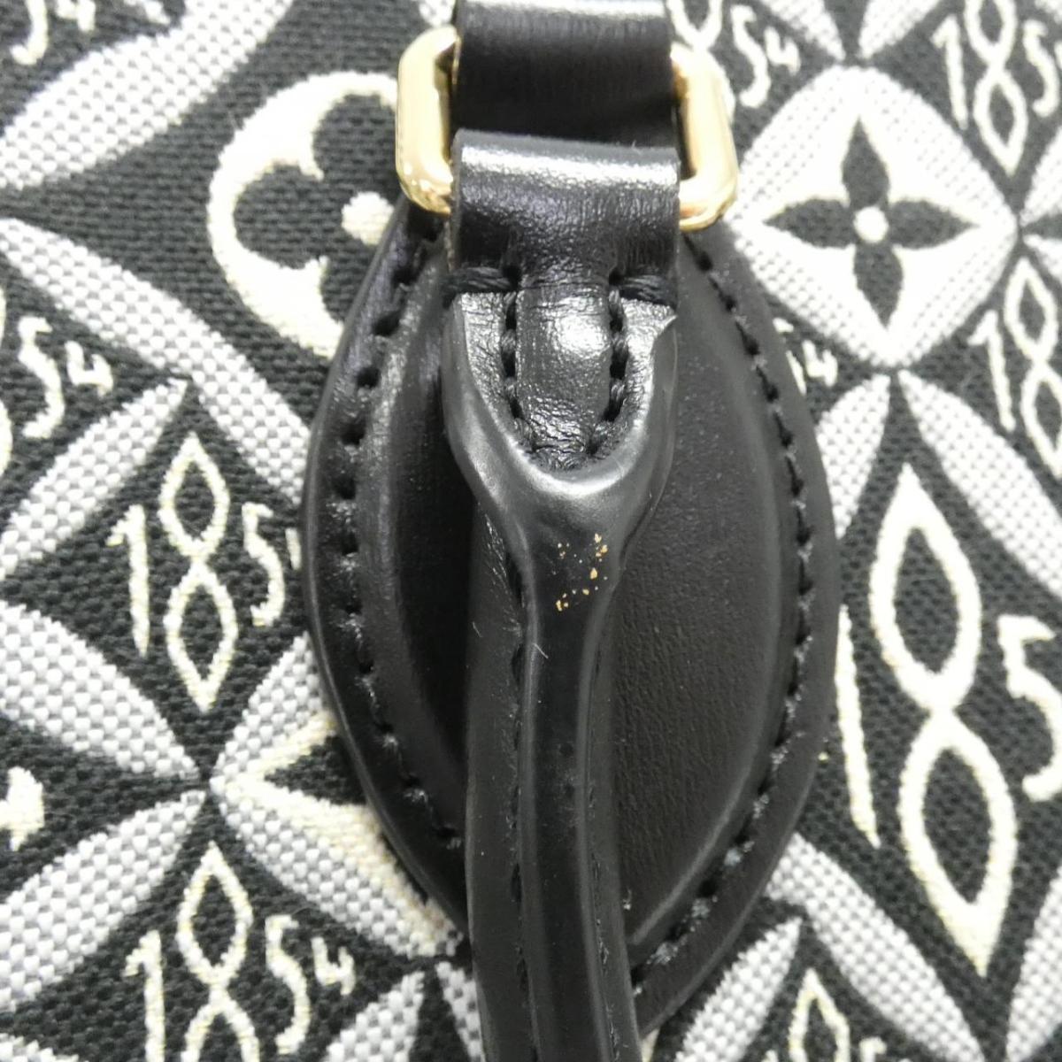Louis Vuitton 1854 On The Go GM Bag
