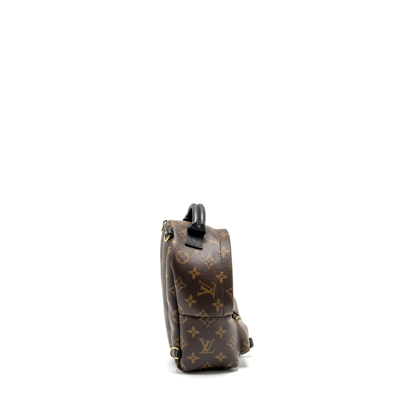 Louis Vuitton Palm Spring Mini Backpack Monogram Canvas GHW