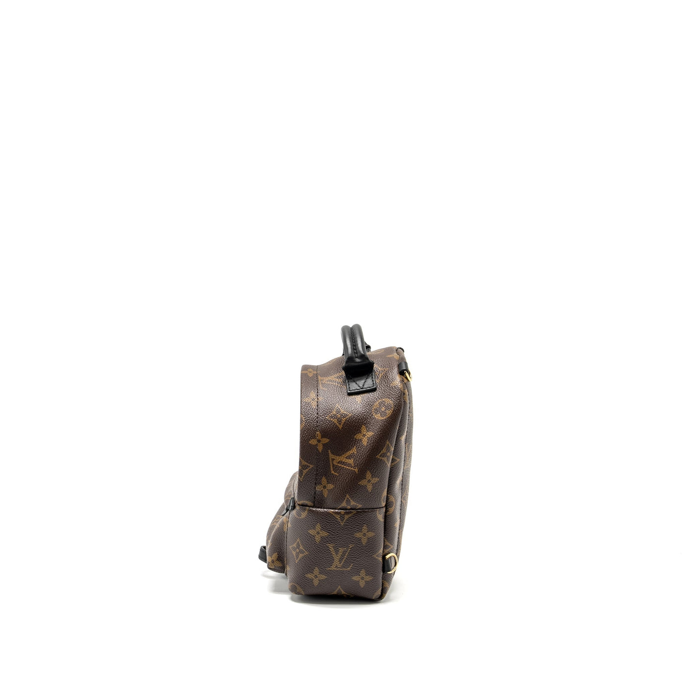 Louis Vuitton Palm Spring Mini Backpack Monogram Canvas GHW