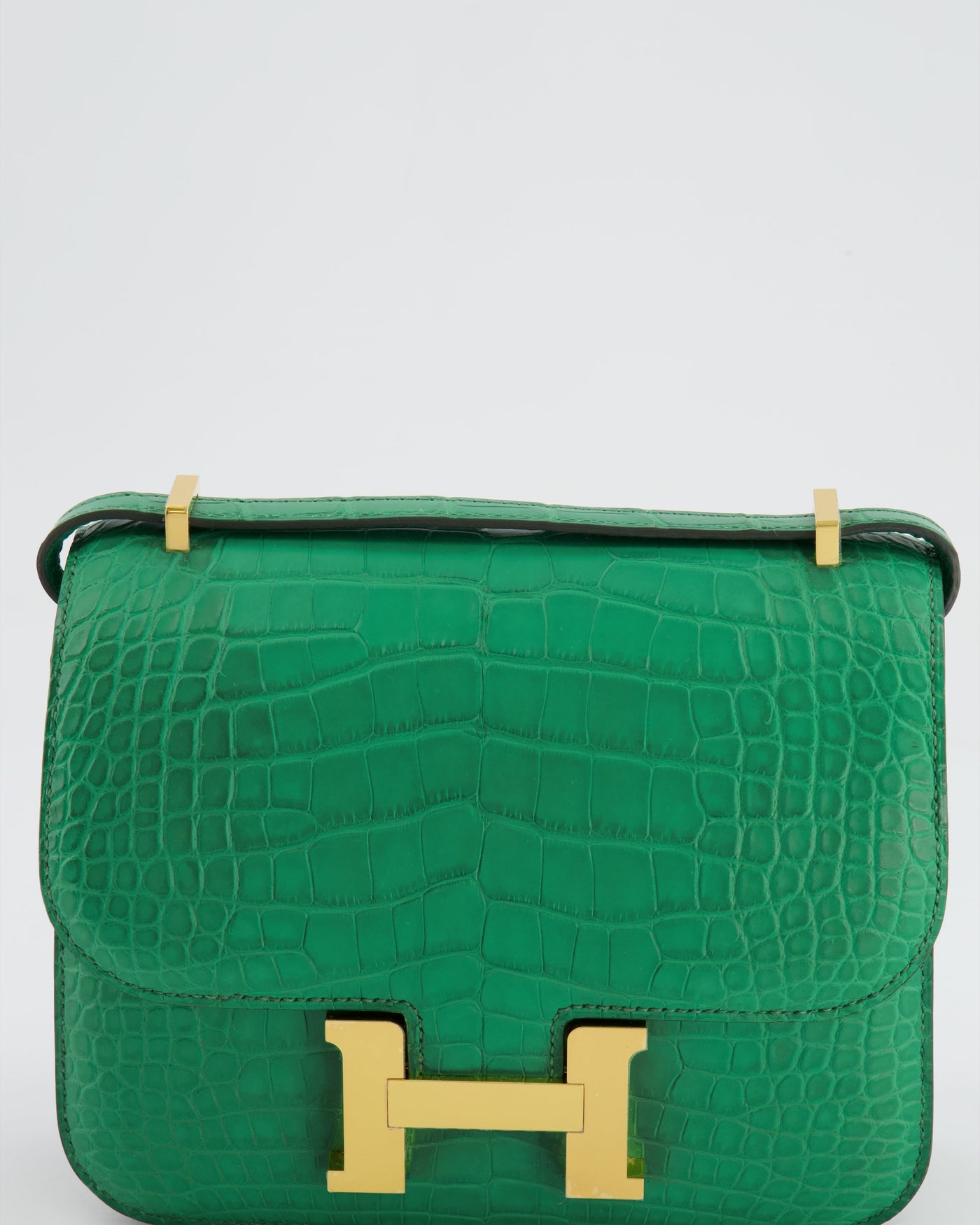 *STORE FRESH* Hermes Constance III 18 Bag in Cactus Alligator Mississippiensis Leather with Gold Hardware - Product Image 14