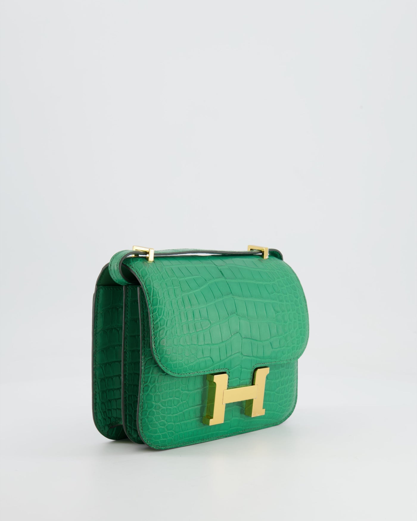*STORE FRESH* Hermes Constance III 18 Bag in Cactus Alligator Mississippiensis Leather with Gold Hardware - Product Image 3