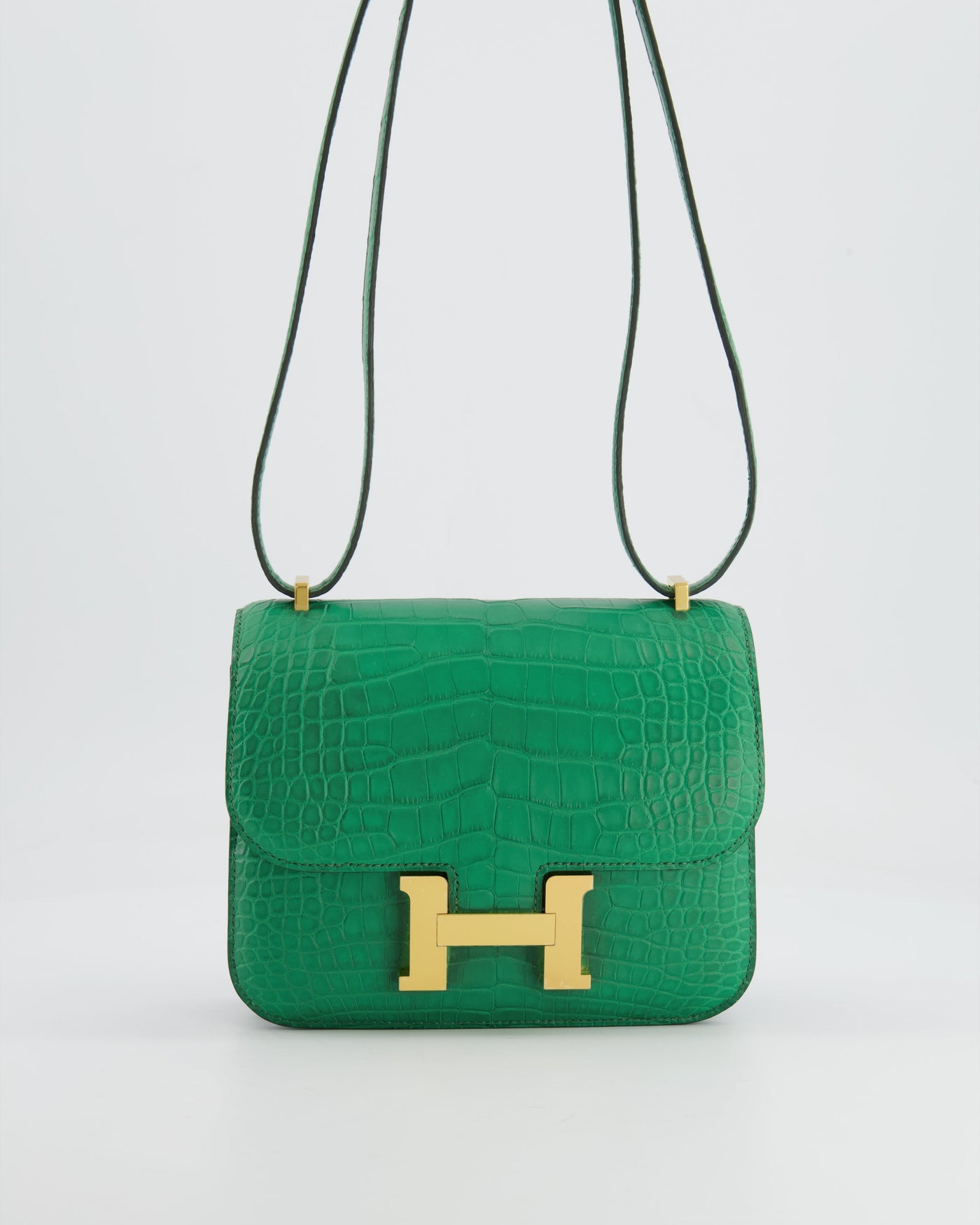 *STORE FRESH* Hermes Constance III 18 Bag in Cactus Alligator Mississippiensis Leather with Gold Hardware - Product Image 2