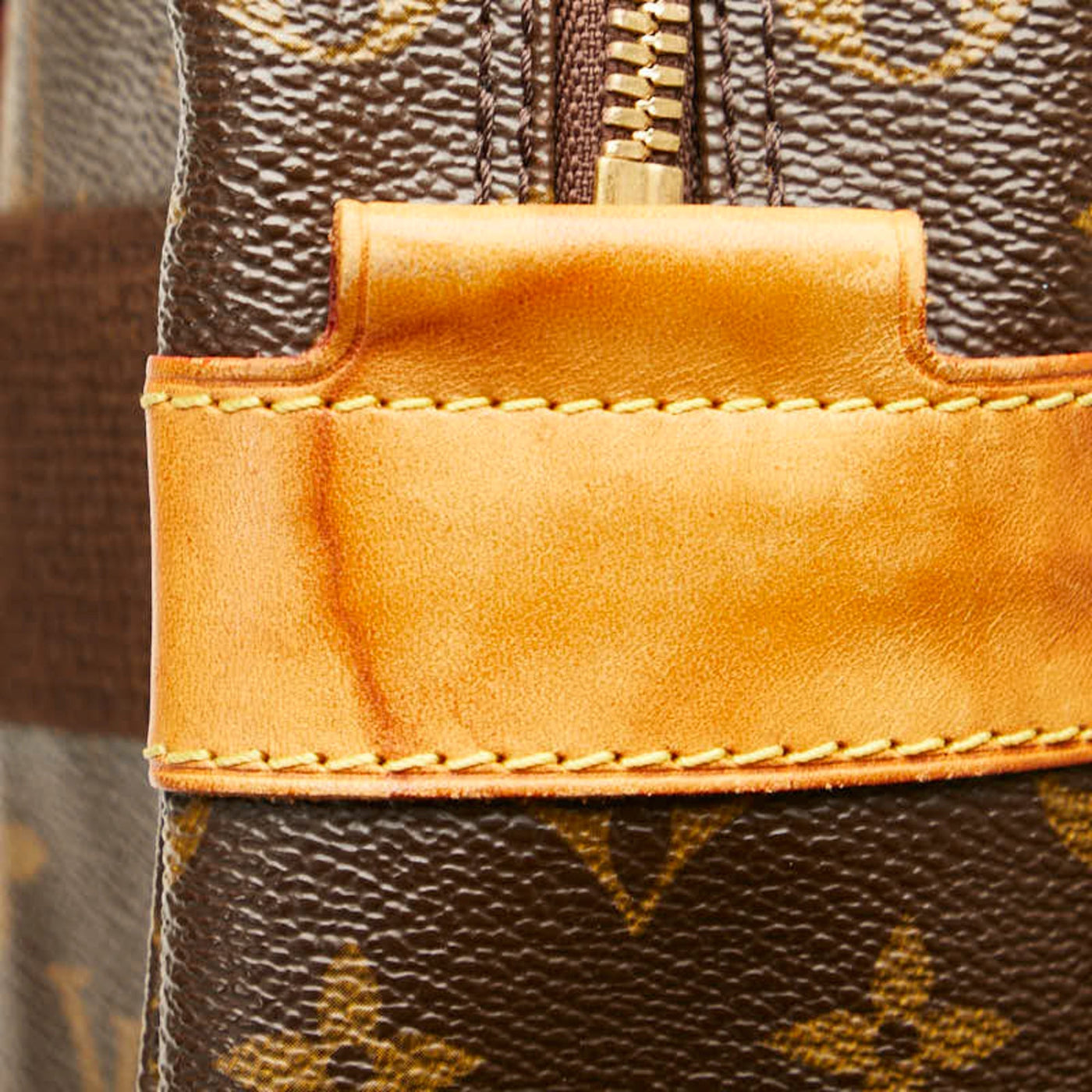 Louis Vuitton Monogram Pvc Leather Shoulder Bag
