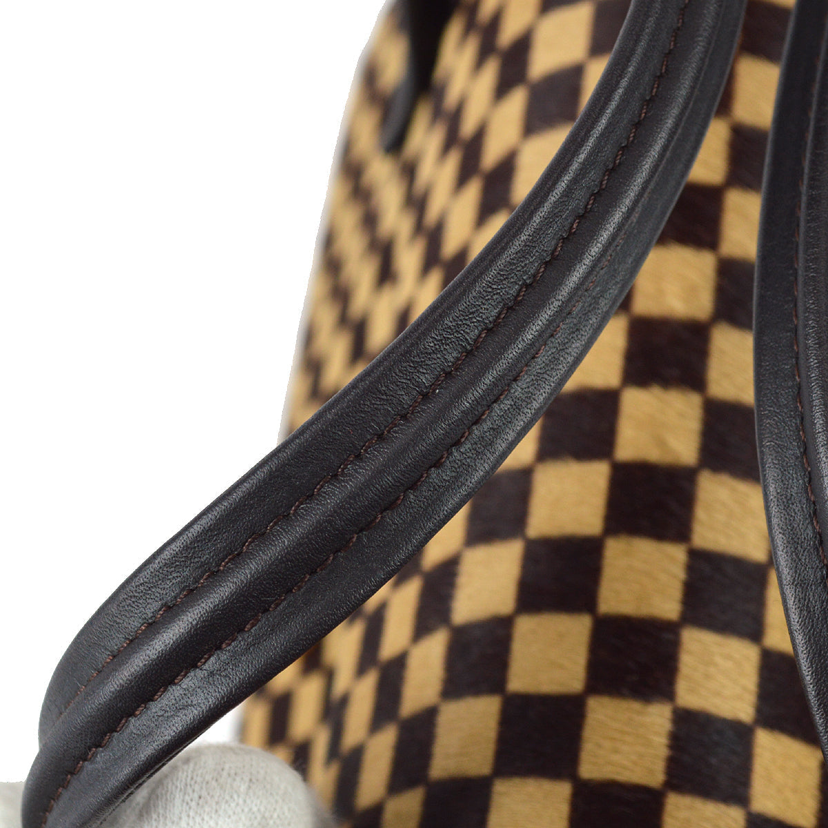 Louis Vuitton Damier Sauvage Lion