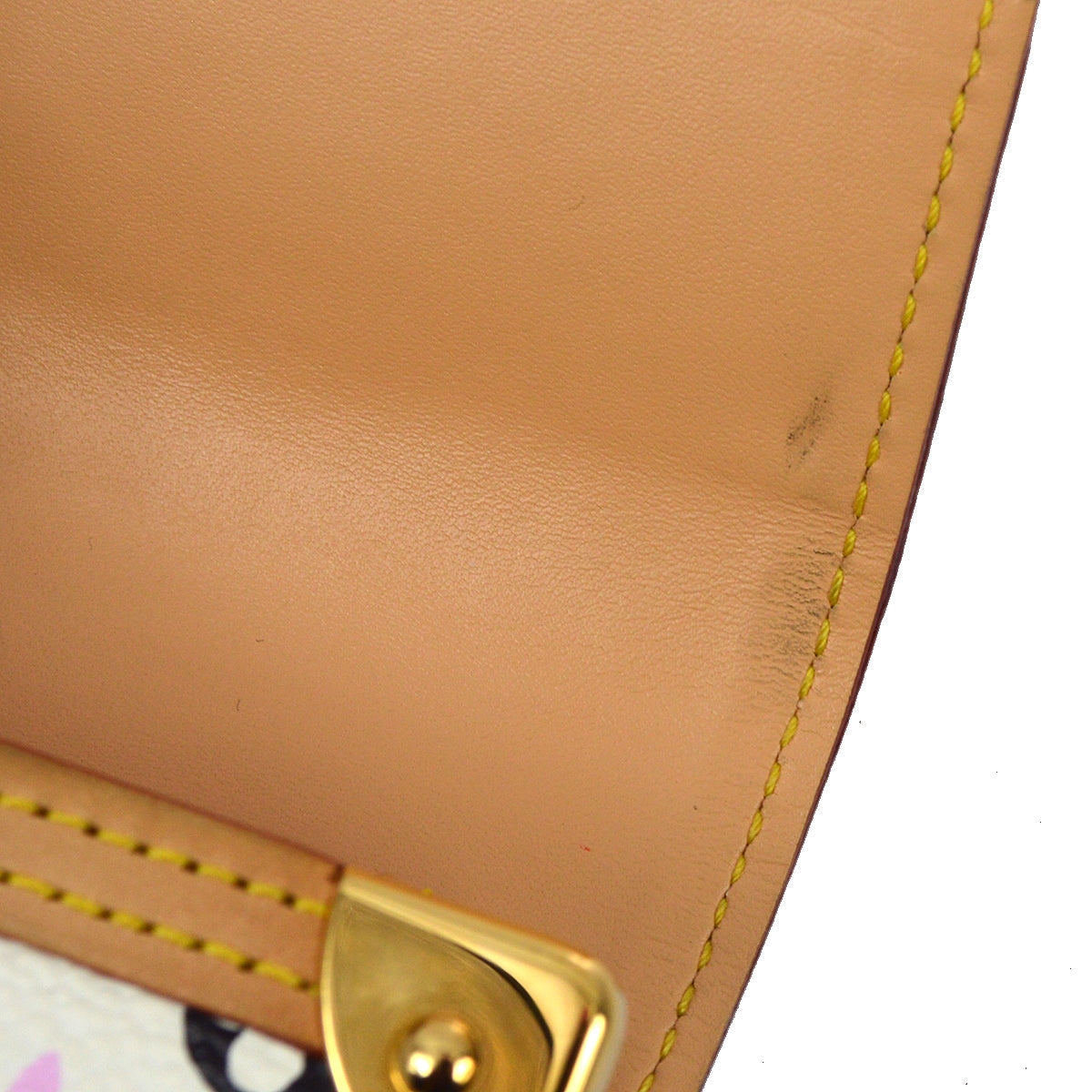 Louis Vuitton Multicolor Porte Tresor International