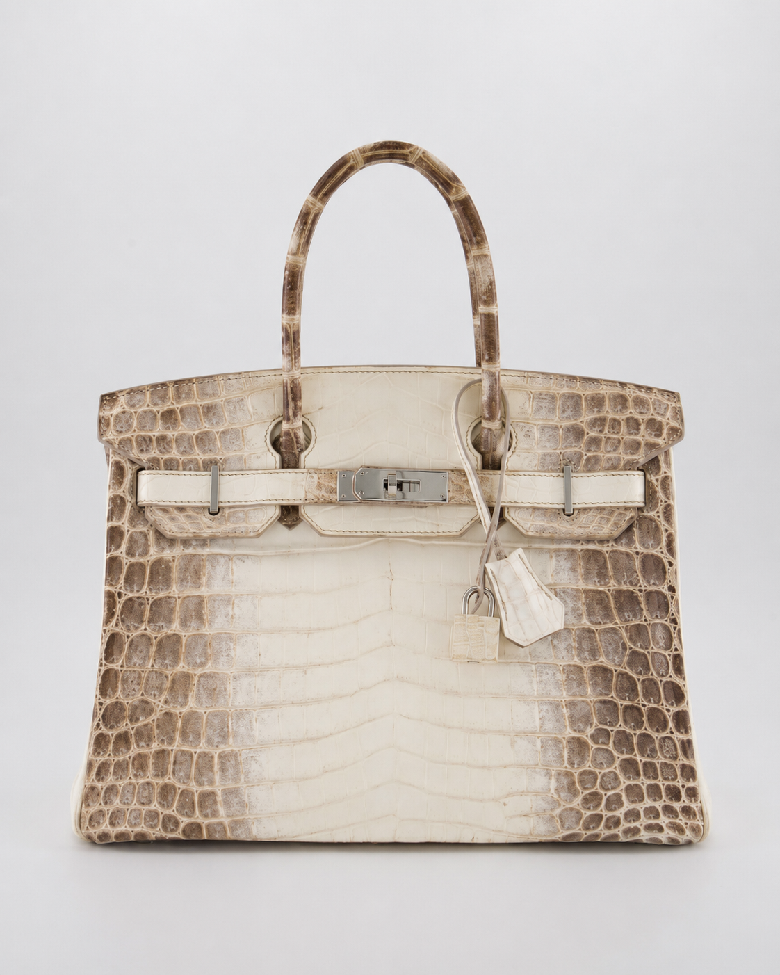 *SUPER RARE* Hermes Birkin 30 Retourne Bag in Himalaya Crocodile Niloticus Leather with Palladium Hardware - Product Image 20