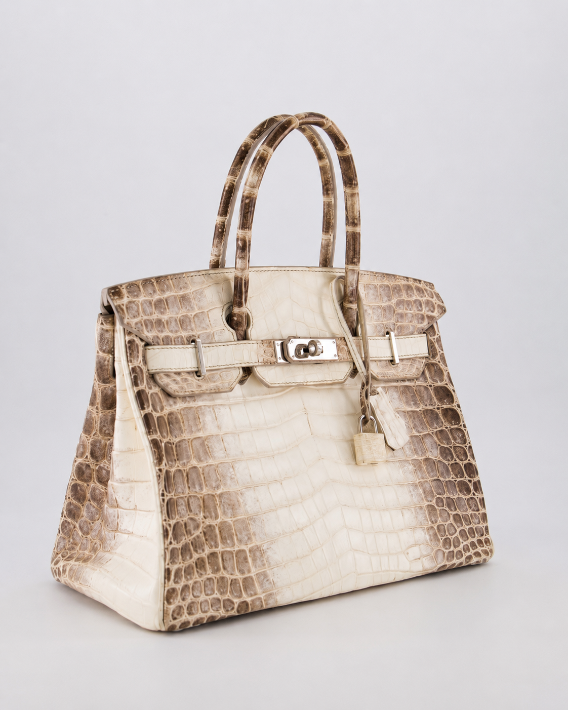 *SUPER RARE* Hermes Birkin 30 Retourne Bag in Himalaya Crocodile Niloticus Leather with Palladium Hardware - Product Image 22