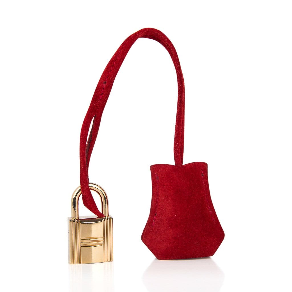 Hermes Birkin 25 Doblis Bag Rouge Vif Suede Gold Hardware | Studio Nafay