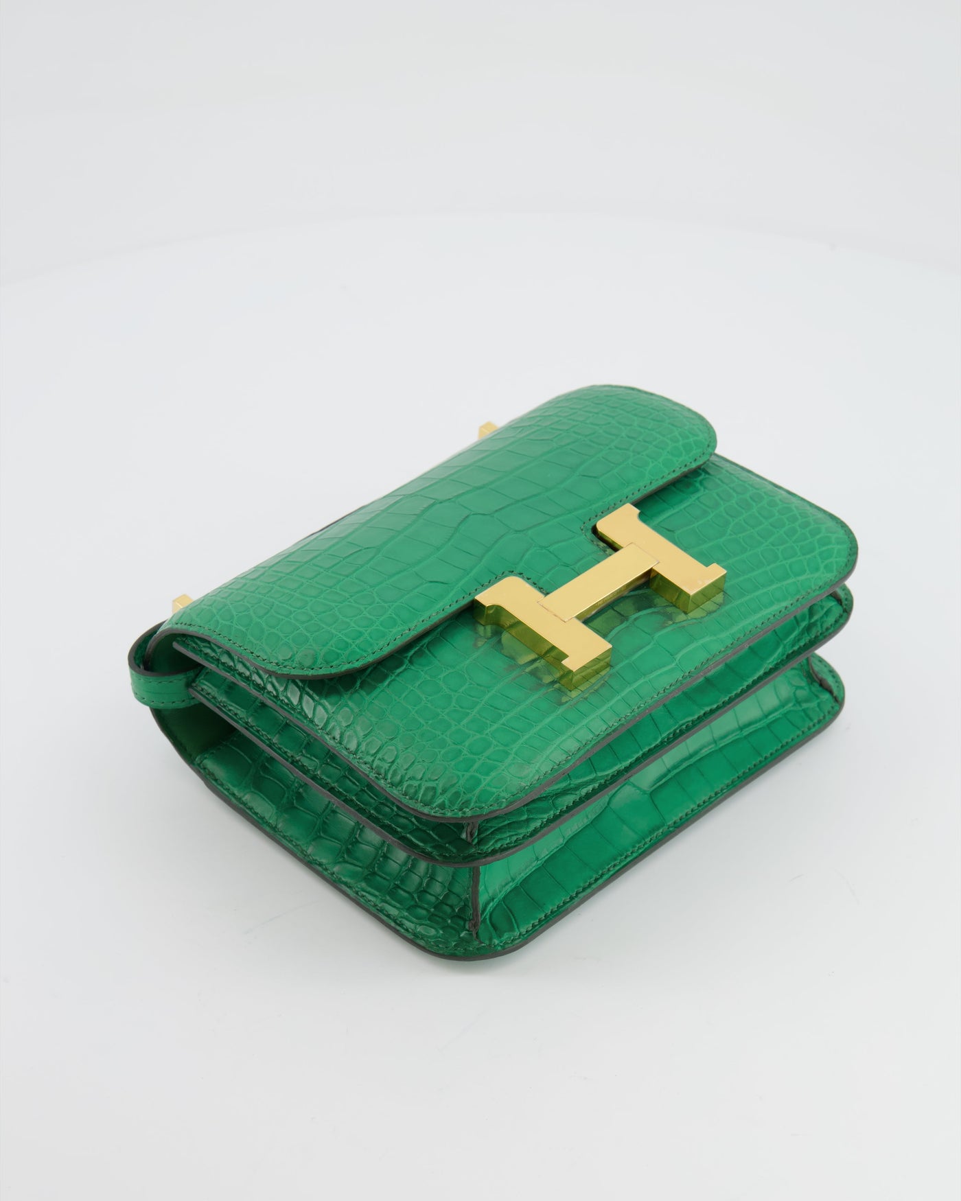 *STORE FRESH* Hermes Constance III 18 Bag in Cactus Alligator Mississippiensis Leather with Gold Hardware - Product Image 18