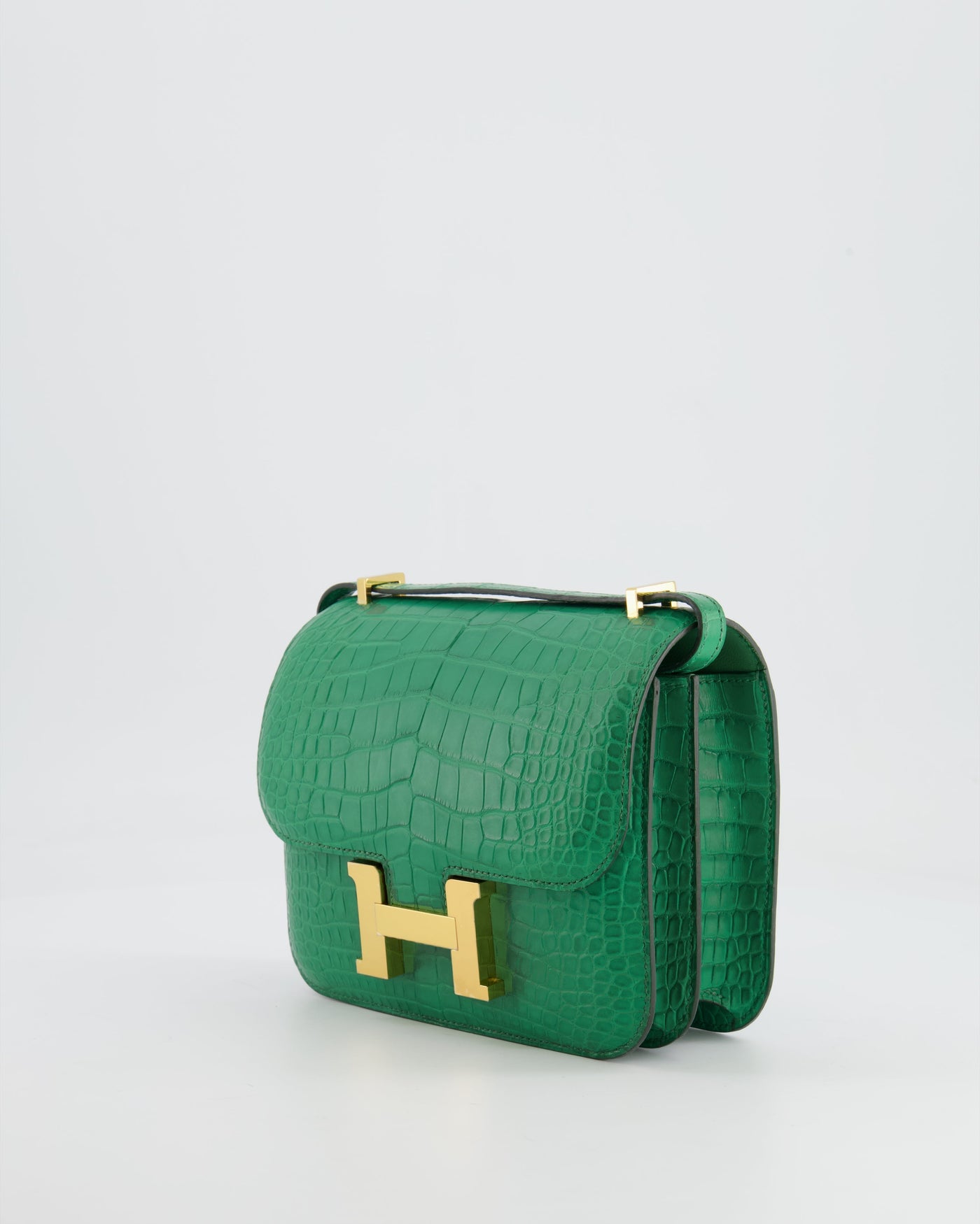 *STORE FRESH* Hermes Constance III 18 Bag in Cactus Alligator Mississippiensis Leather with Gold Hardware - Product Image 9