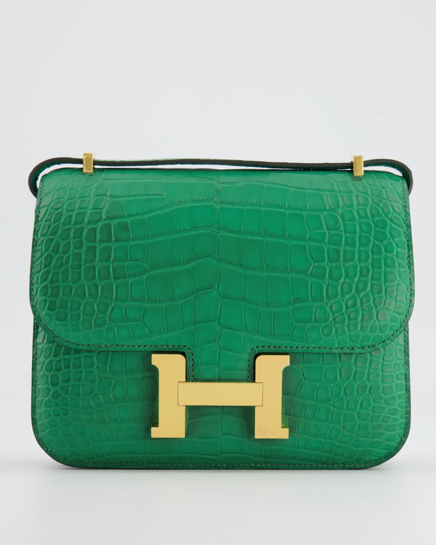 *STORE FRESH* Hermes Constance III 18 Bag in Cactus Alligator Mississippiensis Leather with Gold Hardware - Product Image 10