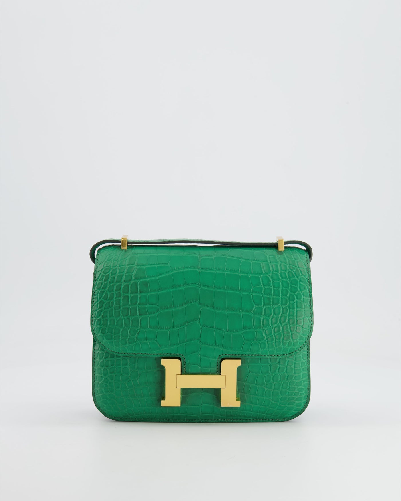 *STORE FRESH* Hermes Constance III 18 Bag in Cactus Alligator Mississippiensis Leather with Gold Hardware | Studio Nafay