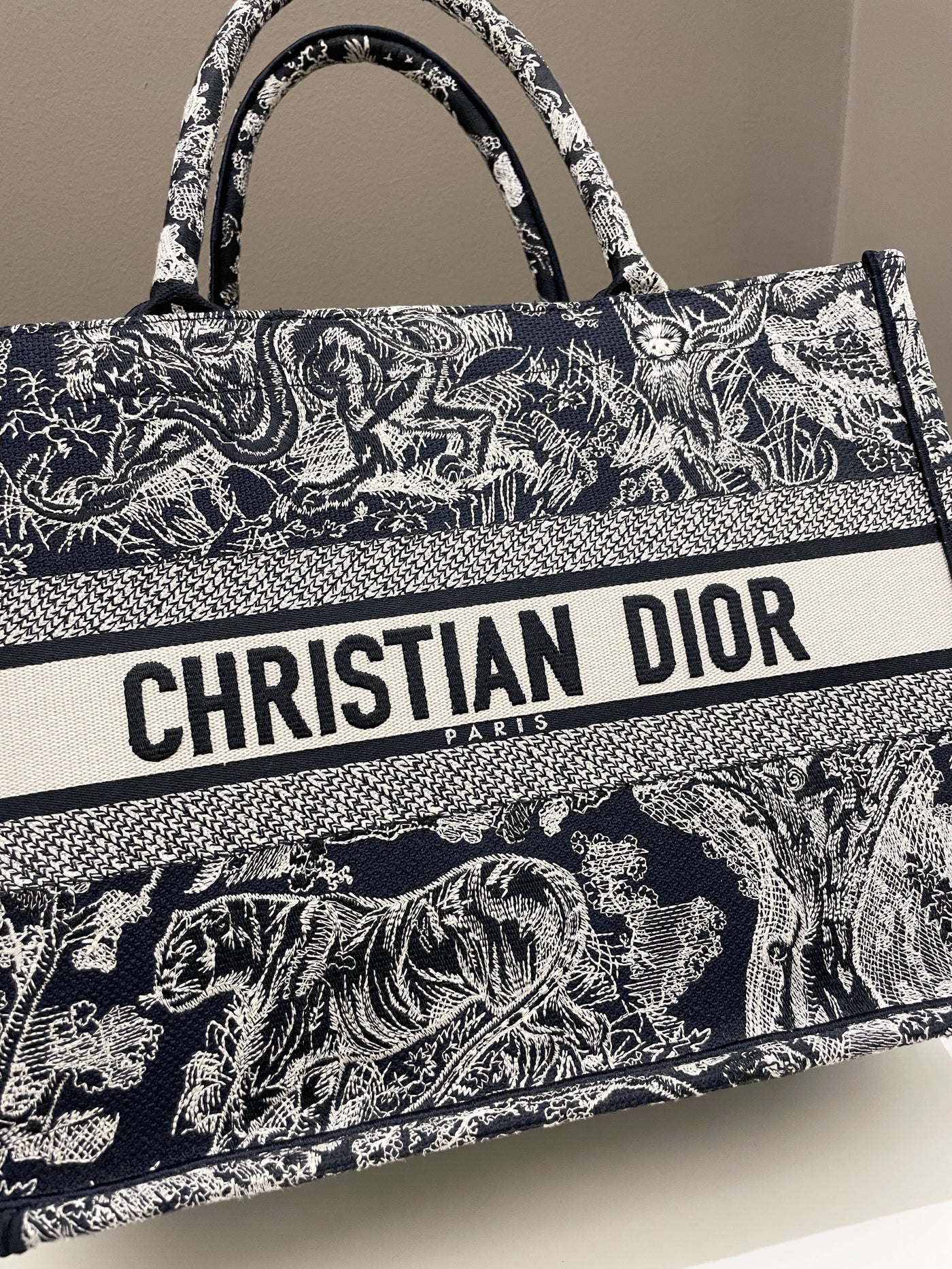 Dior Toile de Jouy Reverse Book Tote Blue / Ecru Embroidery - Product Image 3