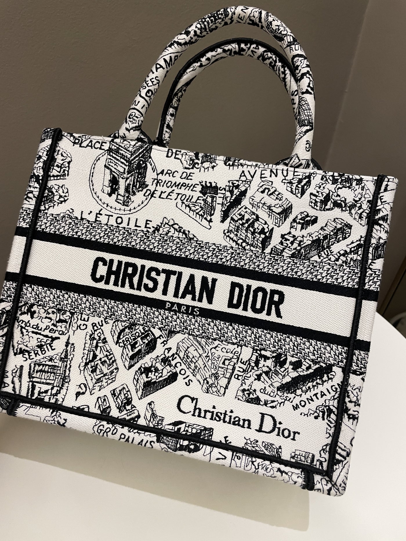 Dior Plan de Paris Book Tote White / Black | Studio Nafay