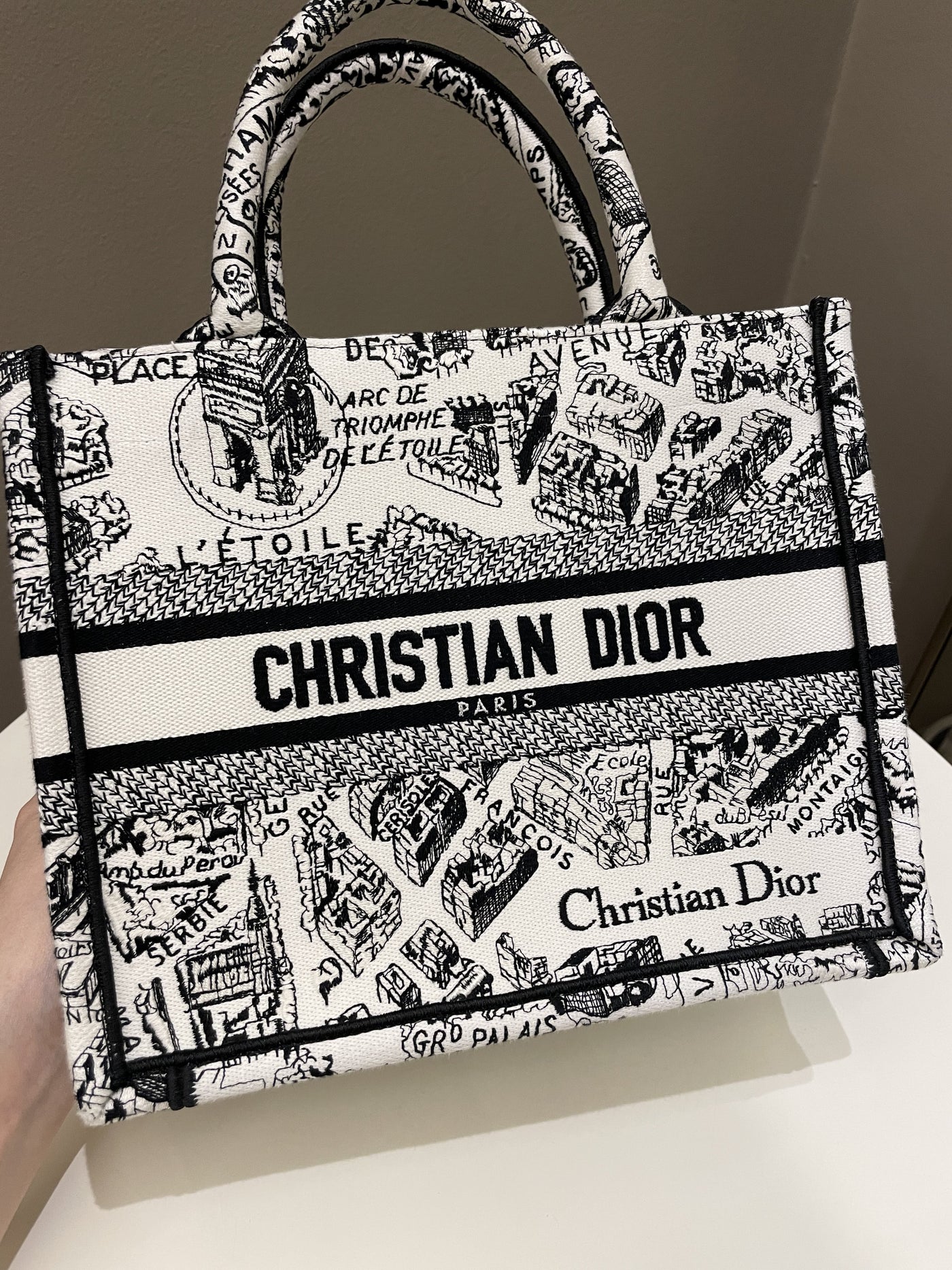 Dior Plan de Paris Book Tote White / Black - Product Image 3