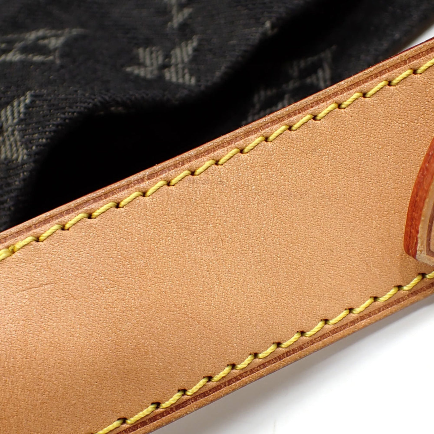 Louis Vuitton Monogram blue Shoulder Bag