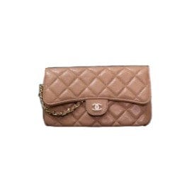 Chanel Caramel WOC Bag | Studio Nafay