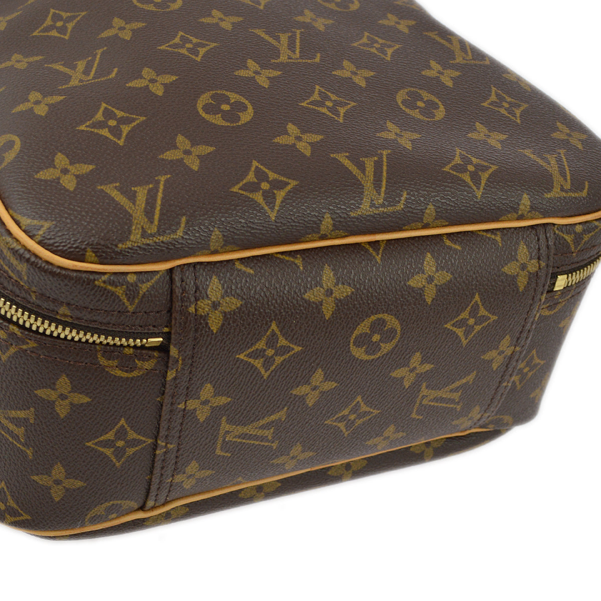 Louis Vuitton Monogram Excursion Shoes Hnadbag