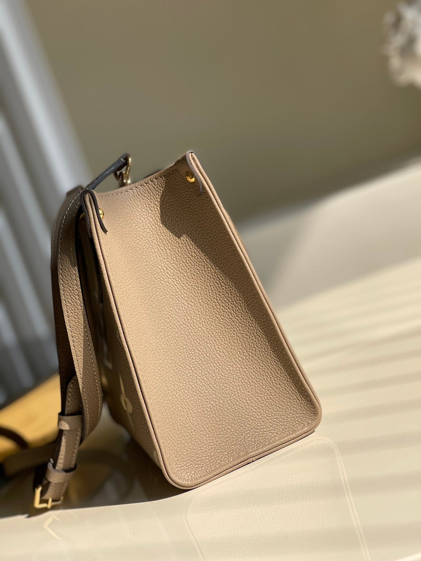 Louis Vuitton OnTheGo PM Bag